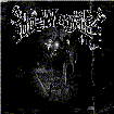 Voir la fiche du concert